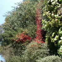 paradisegarden-camping-kaumberg-ioqmh