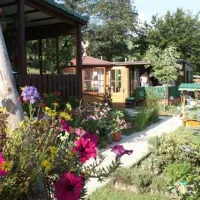 paradisegarden-camping-kaumberg-sclj0