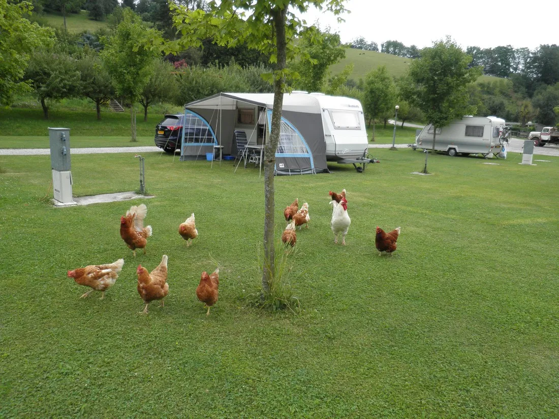 paradisegarden-camping-kaumberg-xqoxa