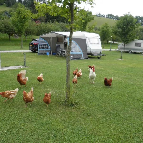 paradisegarden-camping-kaumberg-xqoxa