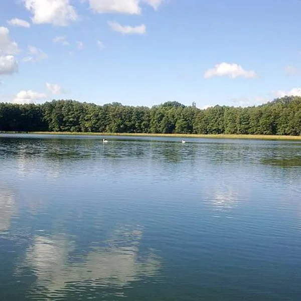 camping-ekodar-dobrzany-lhqwf