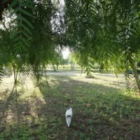 camping-lilybeo-village-marsala-gpjii