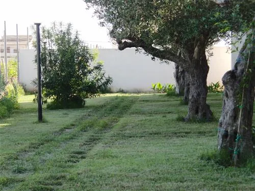camping-lilybeo-village-marsala-h0jhr