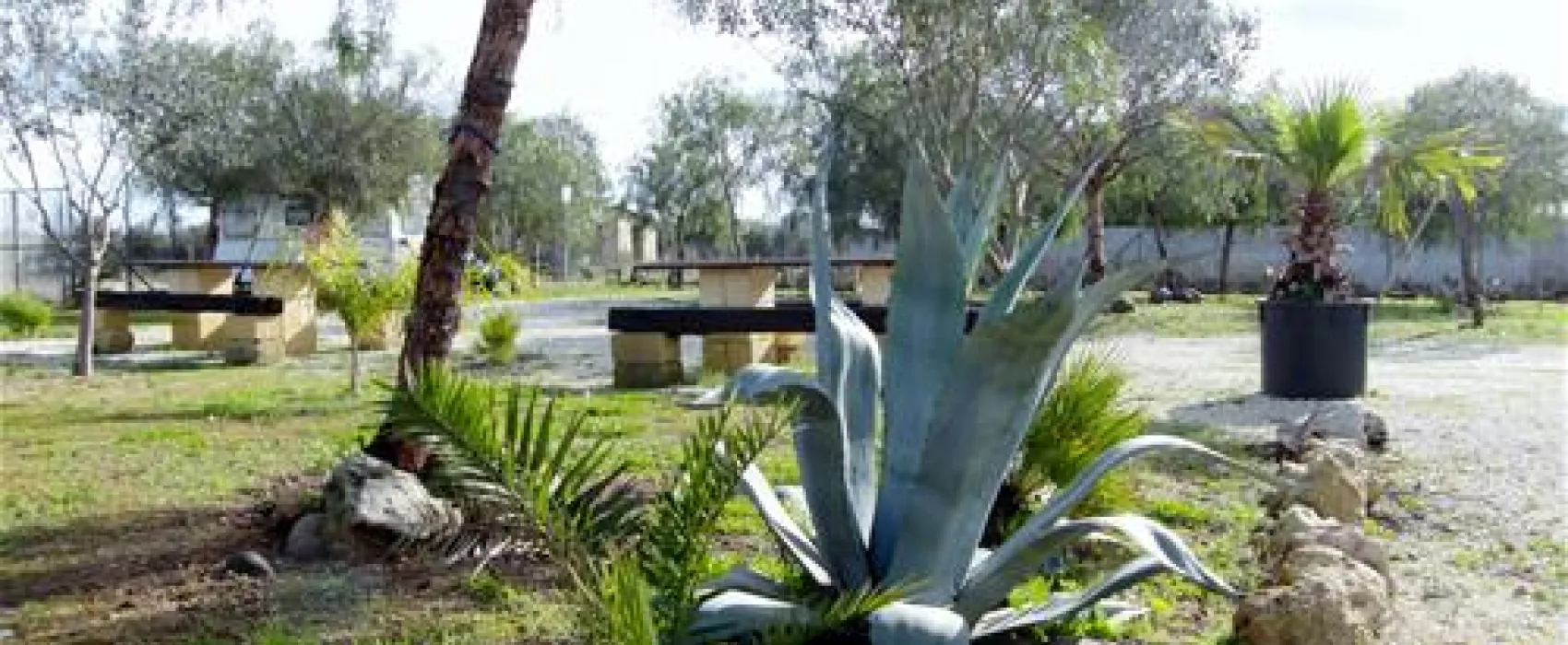 Camping Lilybeo Village
