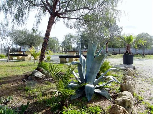 camping-lilybeo-village-marsala-jqyrf