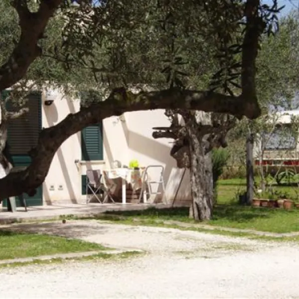 camping-lilybeo-village-marsala-nuytj