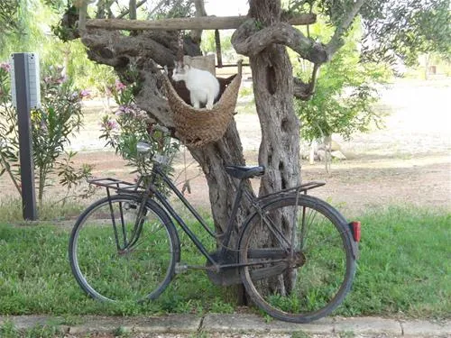 camping-lilybeo-village-marsala-ws83t