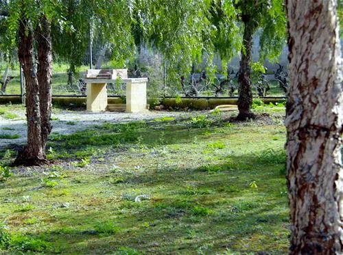 camping-lilybeo-village-marsala-x5uvh
