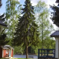 Stöde Camping
