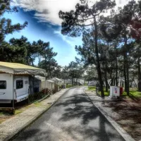 parque-de-campismo-municipal-de-mil-regos-ericeira-duqjb