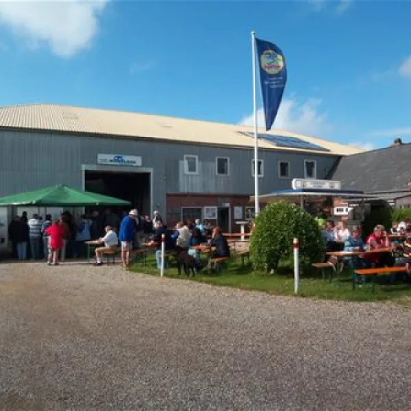 womolandnordstrand-nordstrand-lbyul