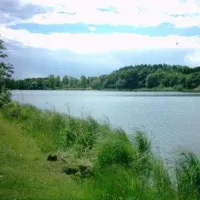 campingpark-am-gederner-see-gedern-en2jv