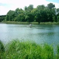 campingpark-am-gederner-see-gedern-ify1a