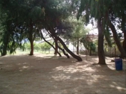 campsite-atreus-mikenes-eawl2