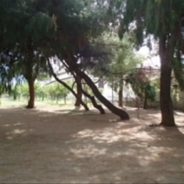 campsite-atreus-mikenes-eawl2