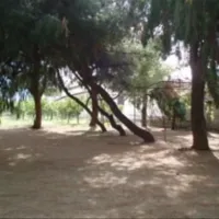 campsite-atreus-mikenes-eawl2