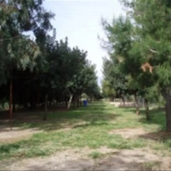 campsite-atreus-mikenes-kbgfk
