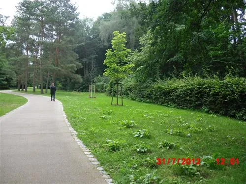 campingplatz-ecktannen-heilbad-waren-mritz-dyhc9