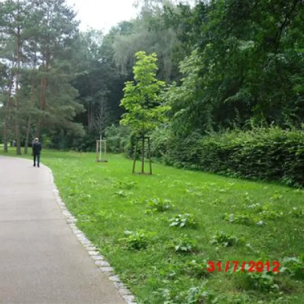 campingplatz-ecktannen-heilbad-waren-mritz-dyhc9
