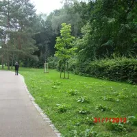 campingplatz-ecktannen-heilbad-waren-mritz-dyhc9