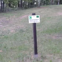 campingplatz-ecktannen-heilbad-waren-mritz-fzot1
