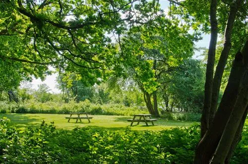 husodde-strand-camping-horsens-dwk2e