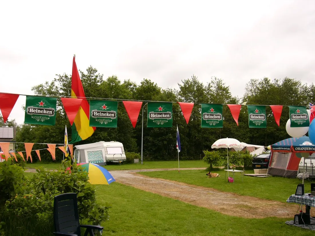 oan-e-swemmer-westergeest-uw2iy