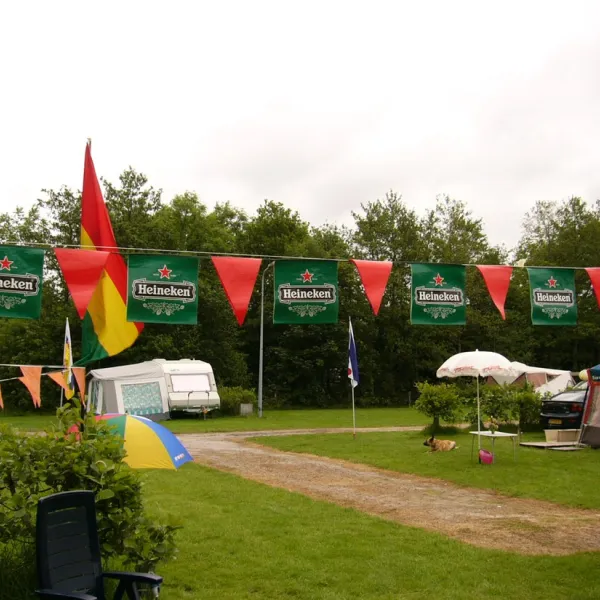 oan-e-swemmer-westergeest-uw2iy