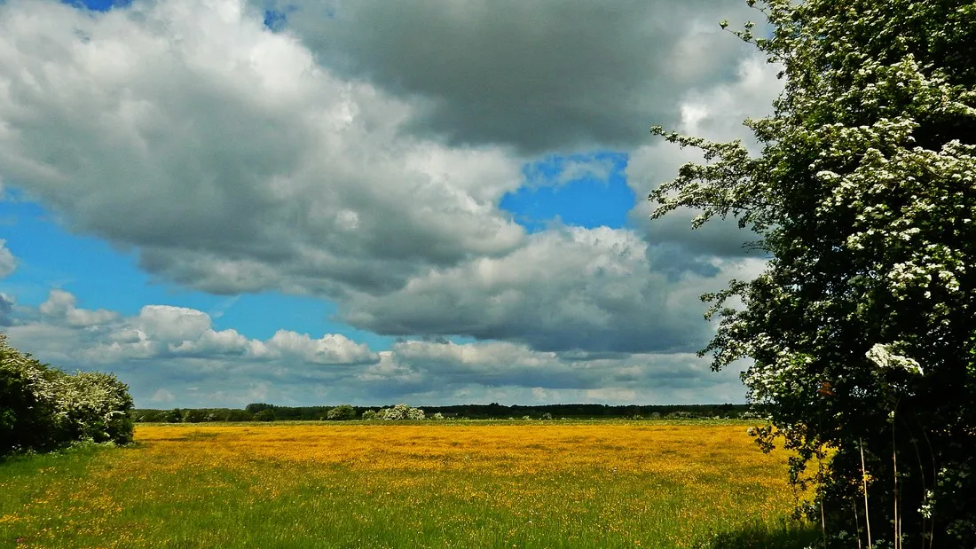 minicamping-de-boterbloem-amerongen-bkwur