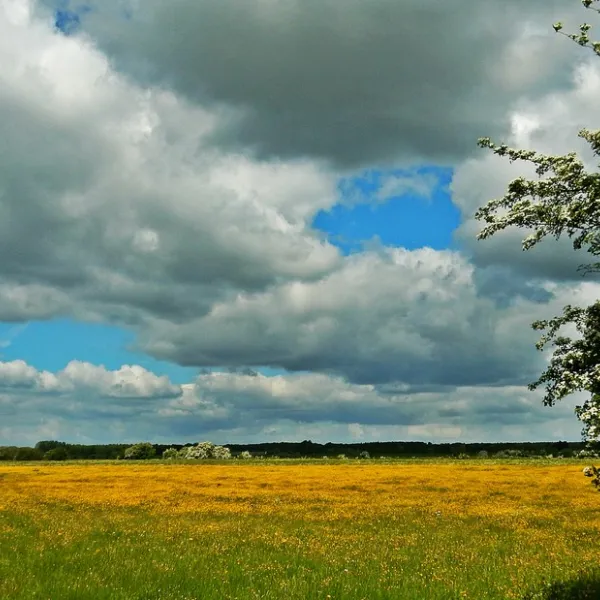 minicamping-de-boterbloem-amerongen-bkwur