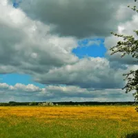 minicamping-de-boterbloem-amerongen-bkwur