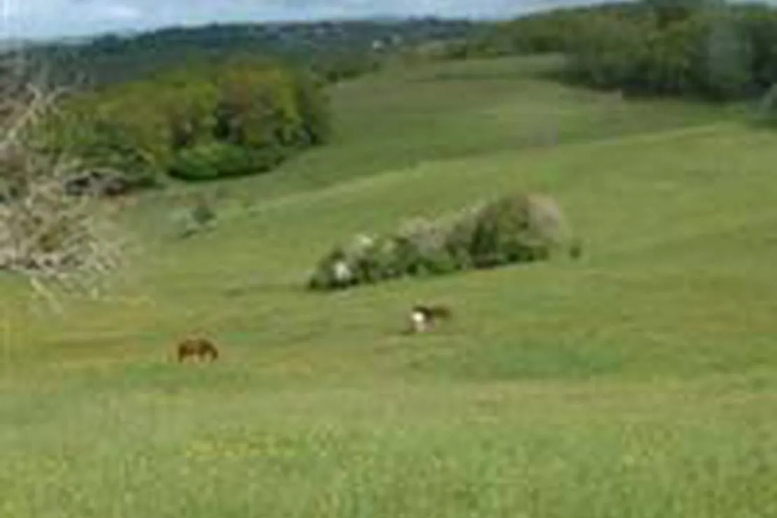camping-a-la-ferme-la-bauche-juillac-ef8ej