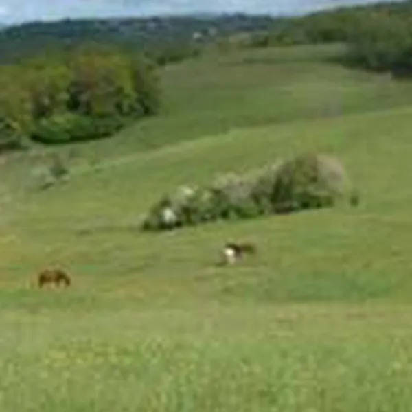 camping-a-la-ferme-la-bauche-juillac-ef8ej