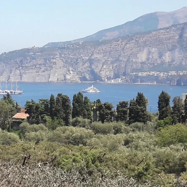international-nube-dargento-sorrento-ac6lx