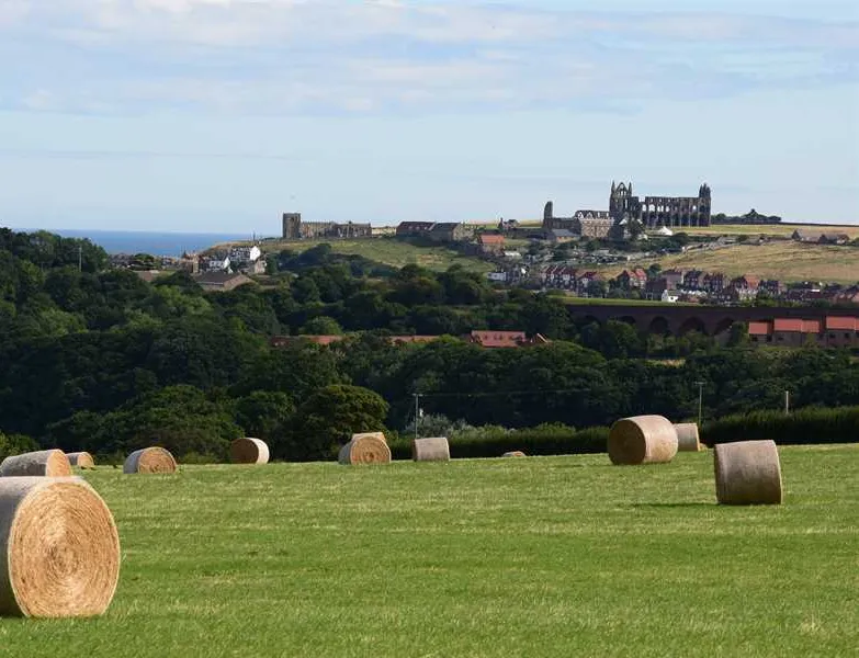 newton-house-farm-whitby-0d4ud
