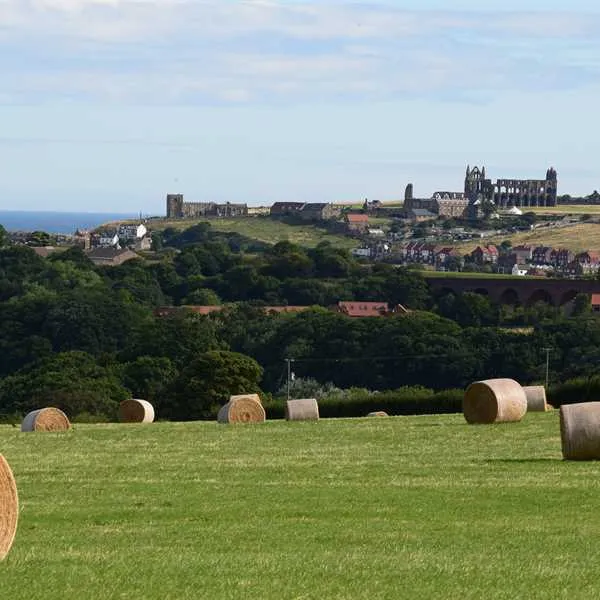 newton-house-farm-whitby-0d4ud
