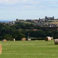 newton-house-farm-whitby-0d4ud