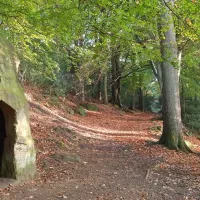 newton-house-farm-whitby-hodka