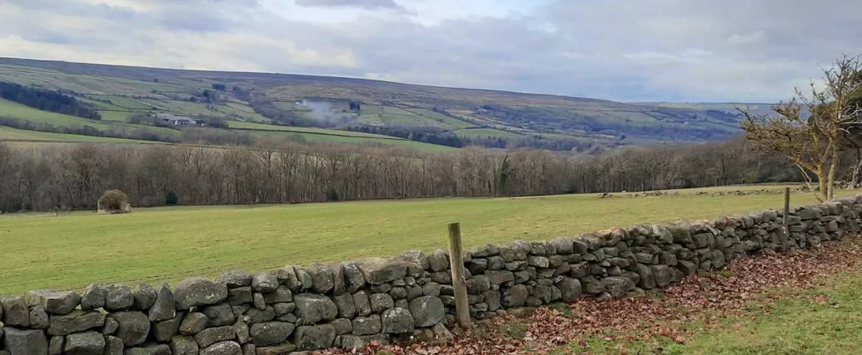 Newton House Farm