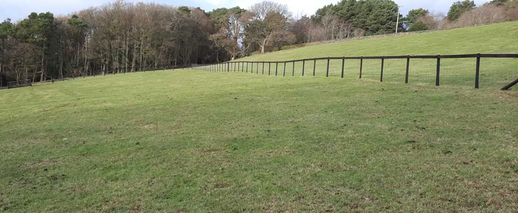 Newton House Farm