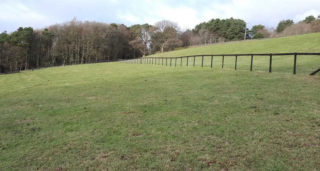 newton-house-farm-whitby-zepid