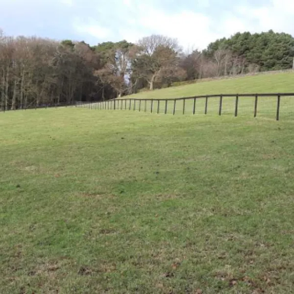 newton-house-farm-whitby-zepid