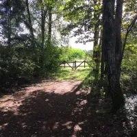 de-marsbelte-wesepe-sq62l