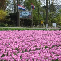 t-vogelnest-stad-aan-t-haringvliet-ftpxo
