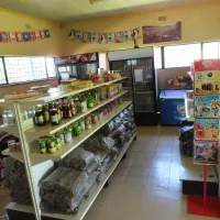 koppisol-camping-club-vereeniging-uyqpp