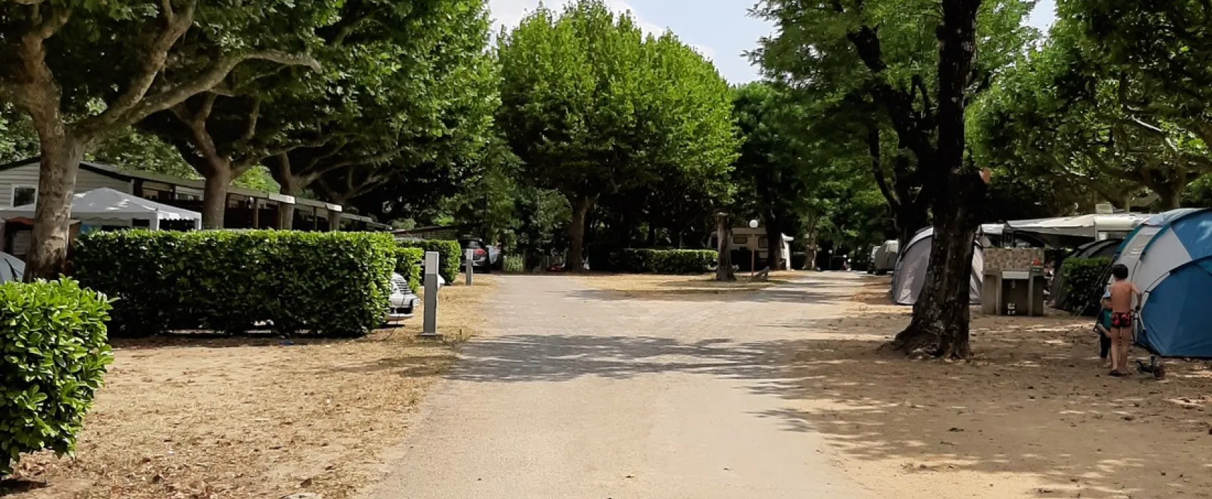 Le Chauvieux