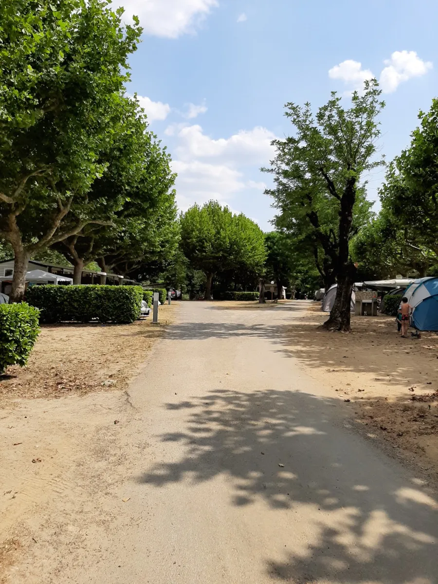 le-chauvieux-salavas-ardeche-rptdt