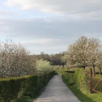 kampeerboerderij-hof-van-libeek-sint-geertruid-7rqsu