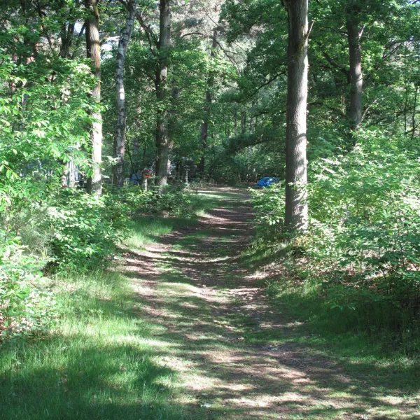 de-fransche-kamp-bussum-cxymd