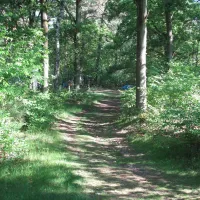 de-fransche-kamp-bussum-cxymd